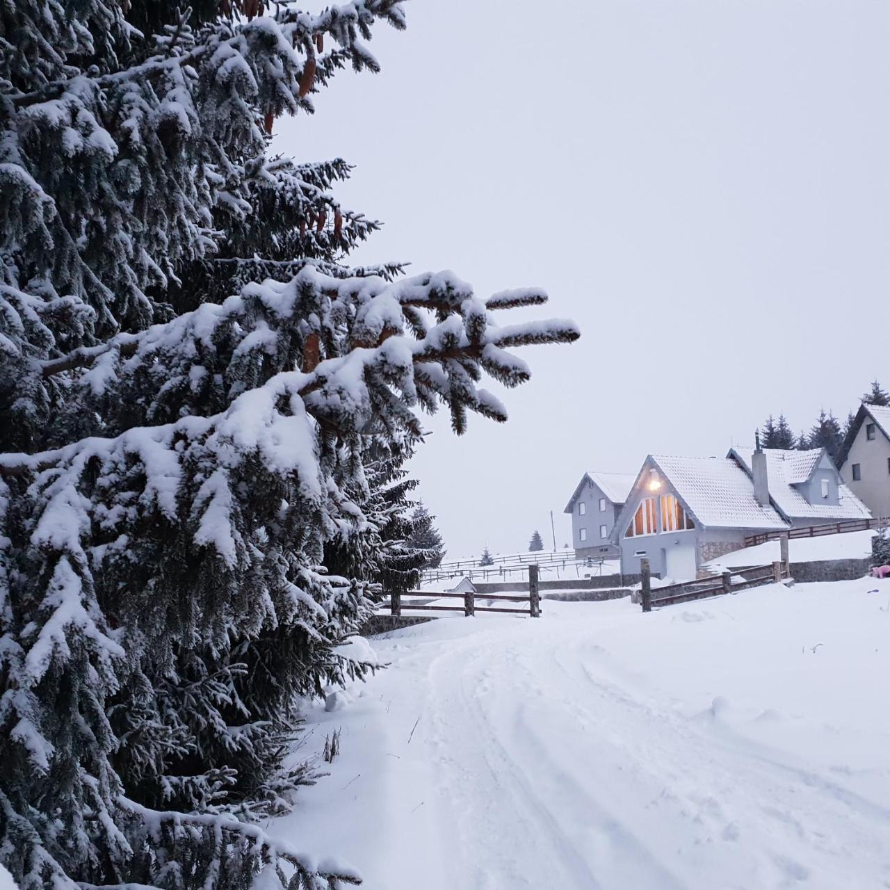 Home Belic Golija Radaljica Экстерьер фото