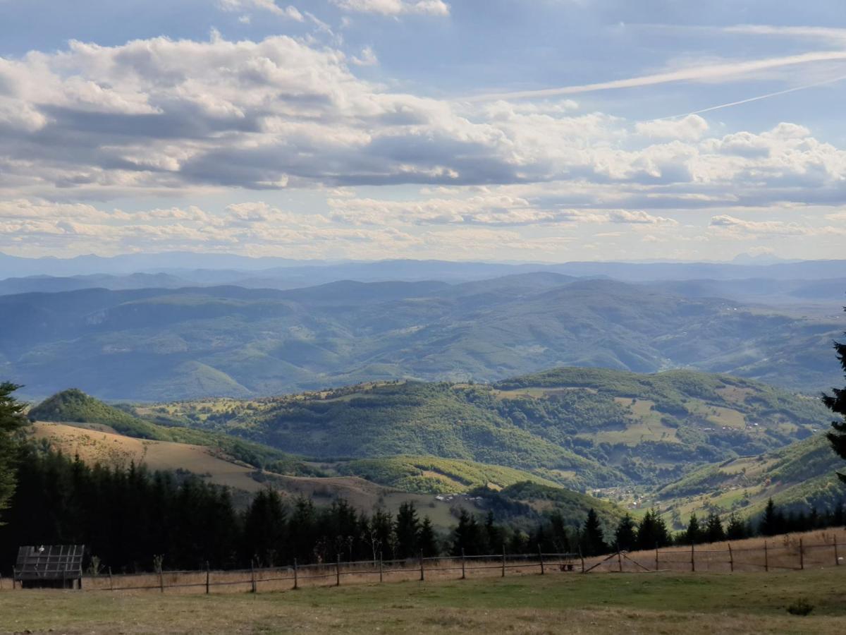 Home Belic Golija Radaljica Экстерьер фото