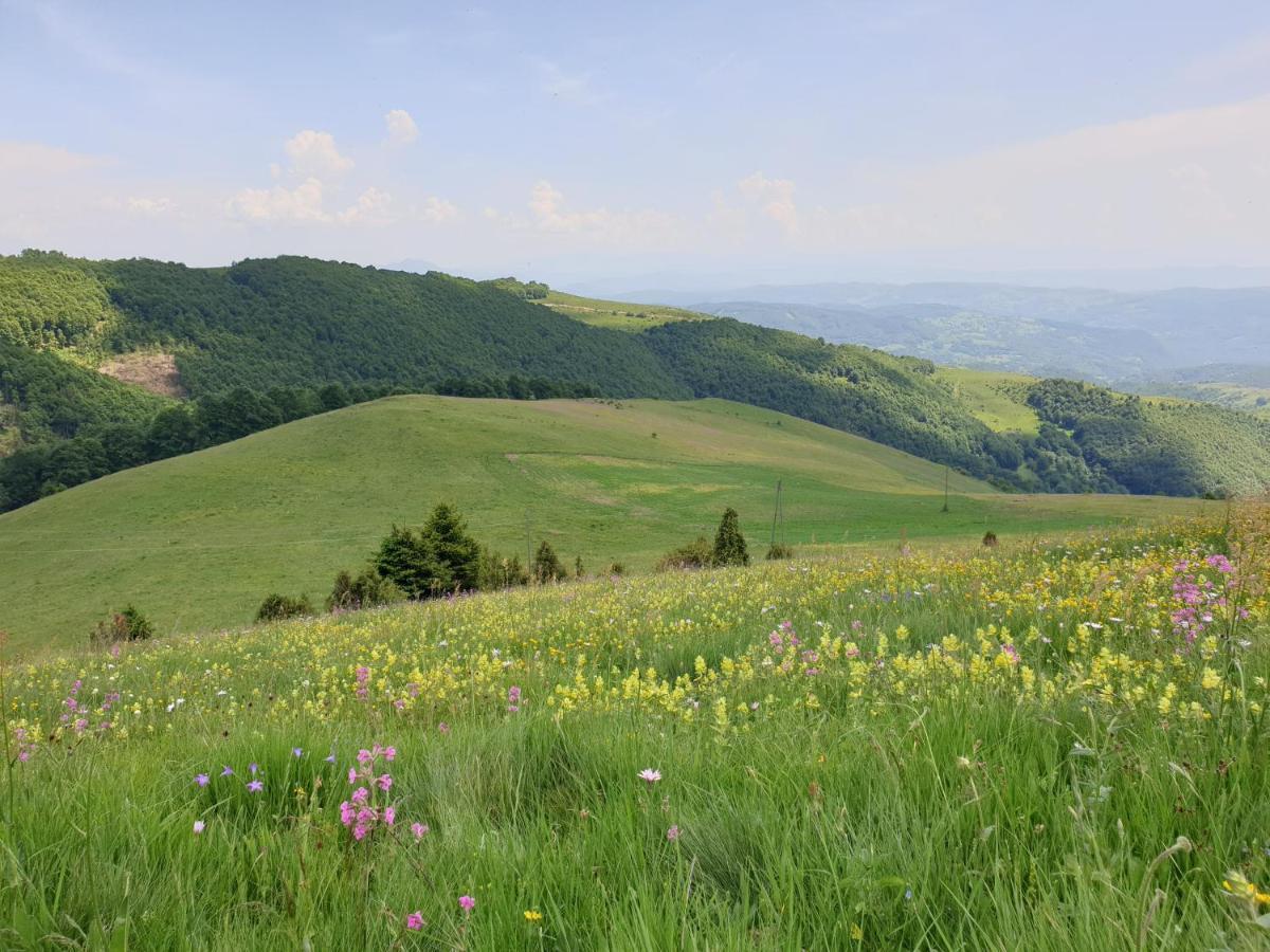 Home Belic Golija Radaljica Экстерьер фото